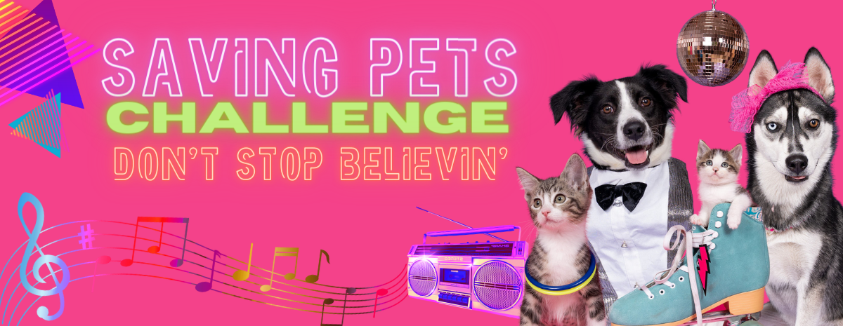 Saving Pets Challenge: Don't Stop Believin